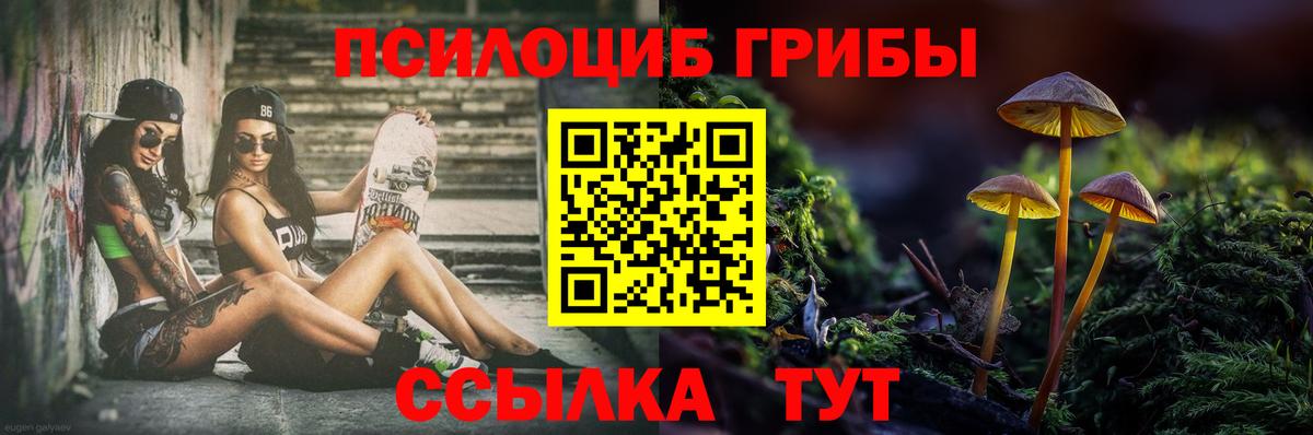 Псилоцибиновые грибы мухоморы Саяногорск