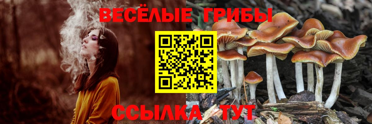 Псилоцибиновые грибы прущие грибы  Вход с VPN  Саяногорск 